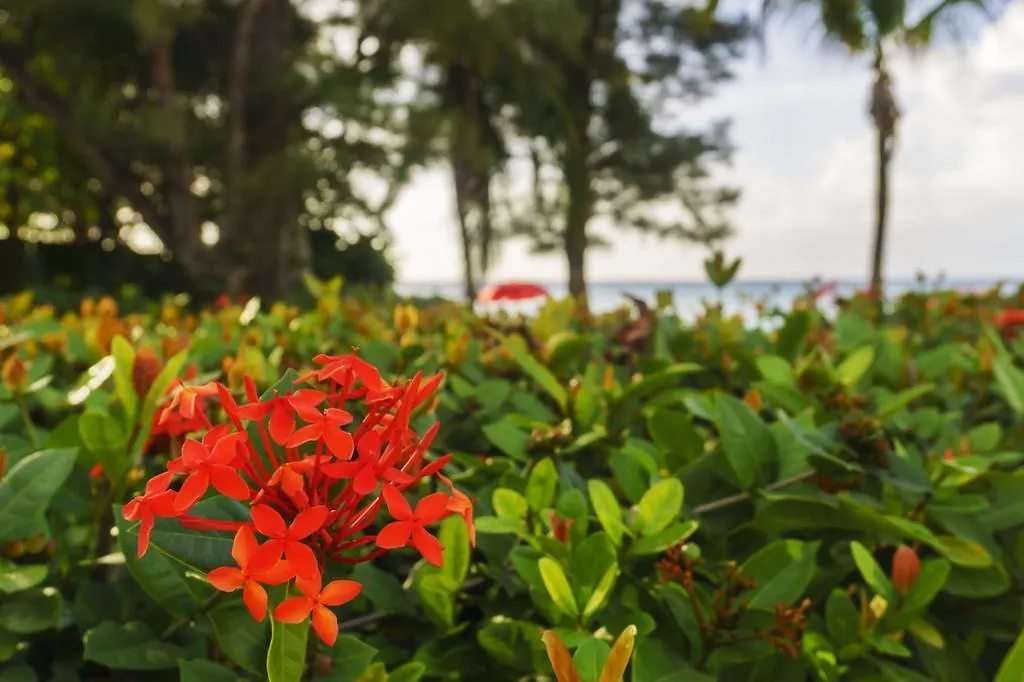 Apartamento One Love Cozy Studio Seawind On The Bay Montego Bay Jamaica