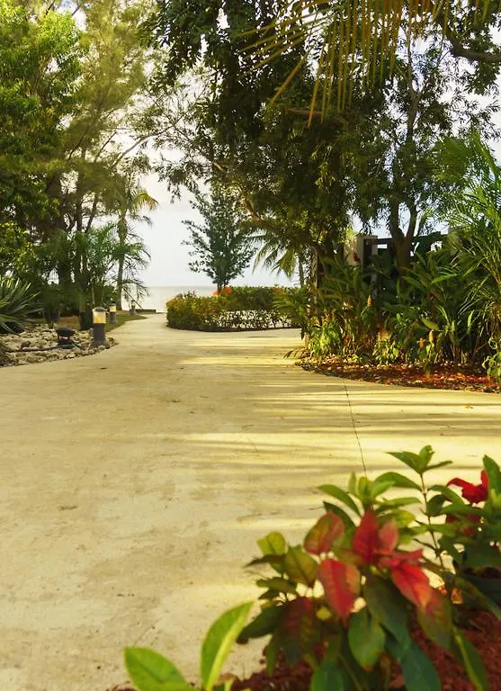 One Love Cozy Studio Seawind On The Bay Montego Bay Apartamento